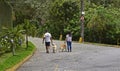 Couple walking dogs on the street in Teresopolis