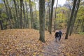 Couple walking downhill in a valley with steeps on a public park in Ontario Royalty Free Stock Photo