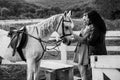 Couple walking with horse on countryside. Love story of young handsome man and beautiful woman walking with their horse