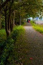 Couple walking jogging path at the evening