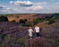 Couple walking in the meadows, Posbank national park Veluwezoom, blooming Heather fields during Sunrise at the Veluwe in