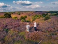 Couple walking in the meadows, Posbank national park Veluwezoom, blooming Heather fields during Sunrise at the Veluwe in