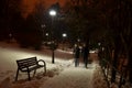Couple walking on park alley in the night Royalty Free Stock Photo