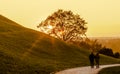 Couple walking in the park.