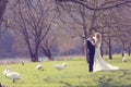 Couple walking in a park surrounded by swans Royalty Free Stock Photo