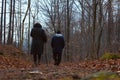 Couple walking on the path in the mountain forest in late fall Royalty Free Stock Photo