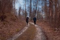 Couple walking on the path in the mountain forest near top of the mountain Royalty Free Stock Photo