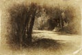 A couple walking on a road in a dark forest. black and white photo