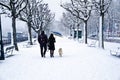 Couple Walking in Snow Storm Royalty Free Stock Photo