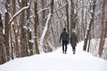 Romantic walk in winter wonderland