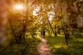 Couple walking in spring forest. Young man and girl holding hands at sunset. Royalty Free Stock Photo