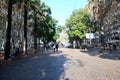 A couple walking under the trees in Barcelona