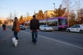 Couple walking a white bichon frise on the sidewalk