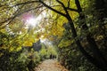 Couple walking on a wooded trail on a bright sunny day. Royalty Free Stock Photo