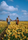 couple walking in yellow flower bed , men and woman in yellow daffodil flower field during Spring Royalty Free Stock Photo