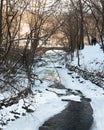 Couple walks along frozen creek in a park