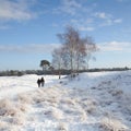 Couple walks near Zeist in winter Royalty Free Stock Photo