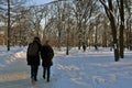 A couple walks in a public park. Winter trees snowy. Russian winter. Color photo.