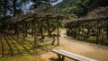 A couple walks In the Ritsurin Garden in Takamatsu City