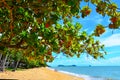 Couple walks on Trinity beach near Cairns Queensland Australia Royalty Free Stock Photo