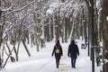 A couple walks through a winter park