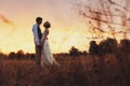 Couple in wedding attire against the backdrop of the field at sunset, the bride and groom.