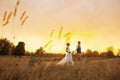 Couple in wedding attire against the backdrop of the field at sunset, the bride and groom. Royalty Free Stock Photo