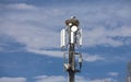 couple of white Storks nesting on a cell tower