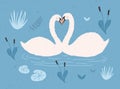 Couple of white swans floating together in water of pond or lake among plants. Pair of cute cartoon wild birds in love