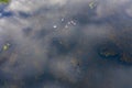 A couple of white swans on the lake aerial drone photo Royalty Free Stock Photo