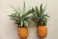 Couple whole pineapple tropical fruit or ananas isolated on white background. Whole ananas with leaves. Yellow orange ripe fresh Royalty Free Stock Photo