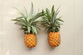 Couple whole pineapple tropical fruit or ananas isolated on white background. Whole ananas with leaves. Yellow orange ripe fresh Royalty Free Stock Photo