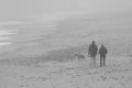 Couple in winter jackets and hats walk dog on foggy beach Royalty Free Stock Photo