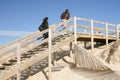 Couple in winter wooden path stairs boards through the dunes to the beach of lacanau sea france Royalty Free Stock Photo