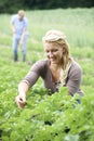 Couple Working In Field On Organic Farm Royalty Free Stock Photo