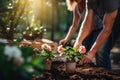 Couple working in garden together, gathering flowers. Generative AI Royalty Free Stock Photo