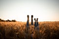 Couple's legs over grain field and sky Royalty Free Stock Photo