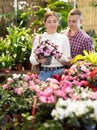 Couple man and woman choosing azalea in flower shop Royalty Free Stock Photo