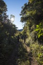 A couple of young hikers walking along a path between the mountains on a sunny day in Costa Rica