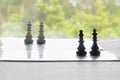 2 couples on chessboard. Black and white chess pieces, king and queen Royalty Free Stock Photo