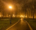 Couples foggy evening in the park