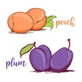 Couples of fresh ripe peaches and plums