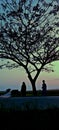 couples meet under a big tree in the afternoon Royalty Free Stock Photo