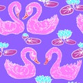 Couples of pink swan in the lake with blue lotuses Royalty Free Stock Photo