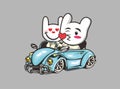 Couples rabbit cartoon driving a car in the seaside road