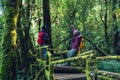 Couples traveling, relax in winter. walking travel to study nature in the rainforest. at the angka, Chiangmai in Thailand