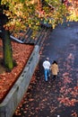 Couples walking along the waterfront Royalty Free Stock Photo