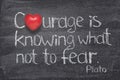 Courage not fear heart Royalty Free Stock Photo