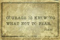 Courage is Plato Royalty Free Stock Photo