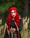 Courageous young lady with long red hair in image of fabulous historical character of witch and priestess in a mystical forest Royalty Free Stock Photo